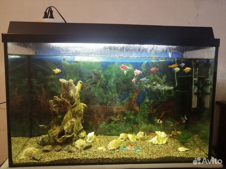 Аквариум