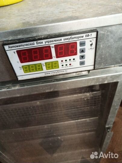 Выводной инкубатор