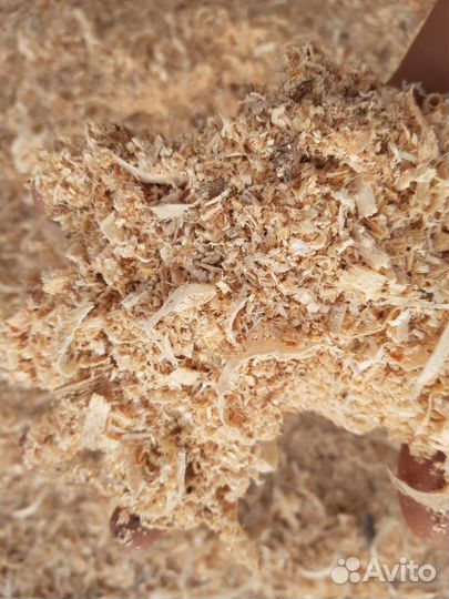 Опилки с доставкой