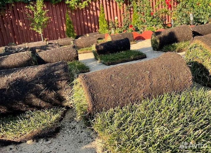 Рулонный газон