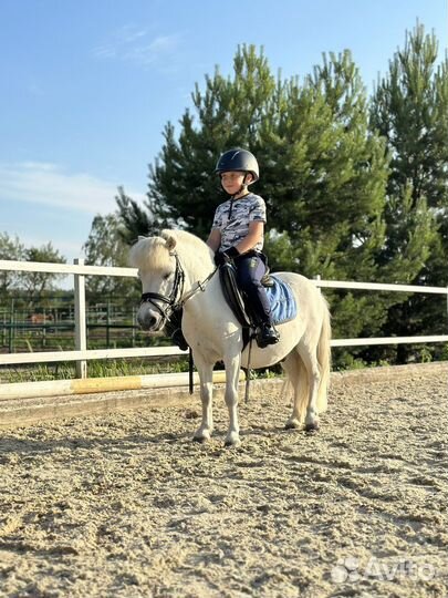 Пони верховая езда