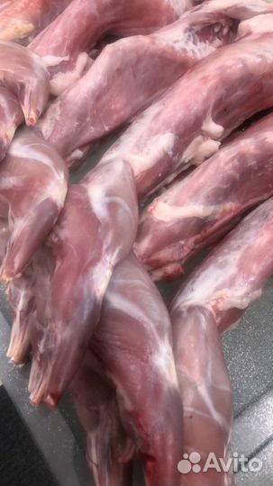 Мясо кролика домашнее