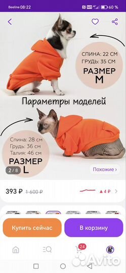 Одежда на собак мелких пород кофта худи