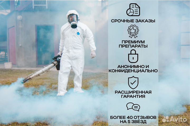 Уничтожение короеда, клопов, тараканов, обработка