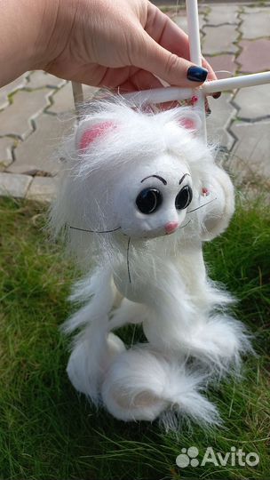 Кот шопито на леске