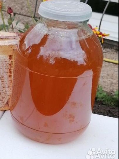 Мед башкирский