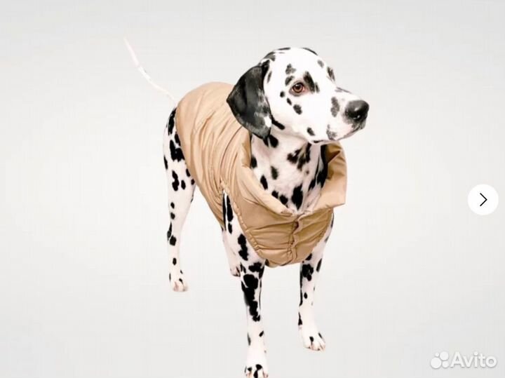 Жилет утепленный для собаки