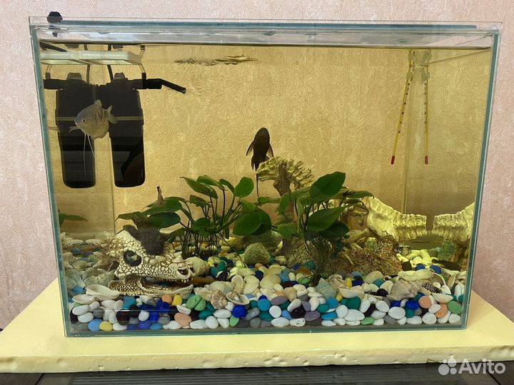 Аквариум