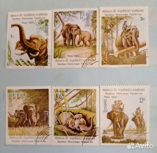 Марки. Набор марок. Слоны. 1982. 6 марок