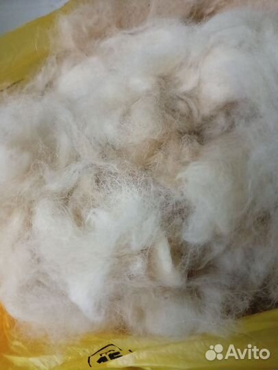 Собачий пух и шерсть