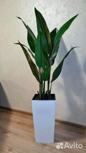 Искусственное дерево, стрелиция