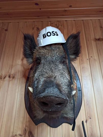 Дом 200 м² на участке 30 сот.