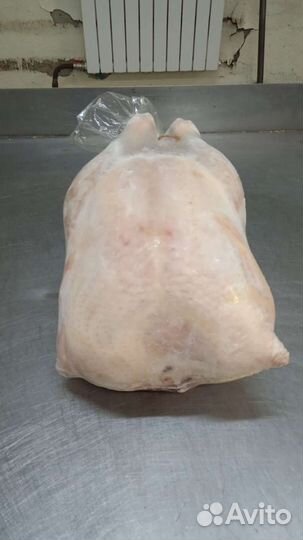 Мясо индейки (тушки) опт и розница