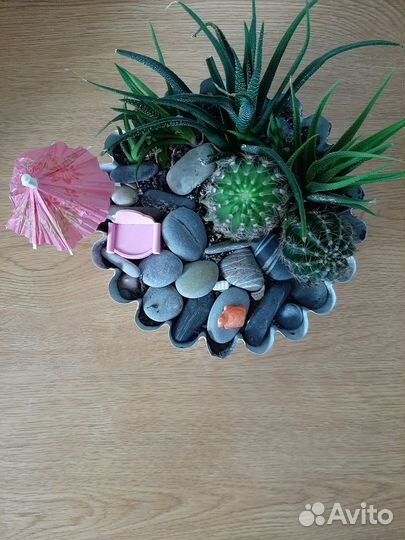 Композиция из суккулентов Отпуск