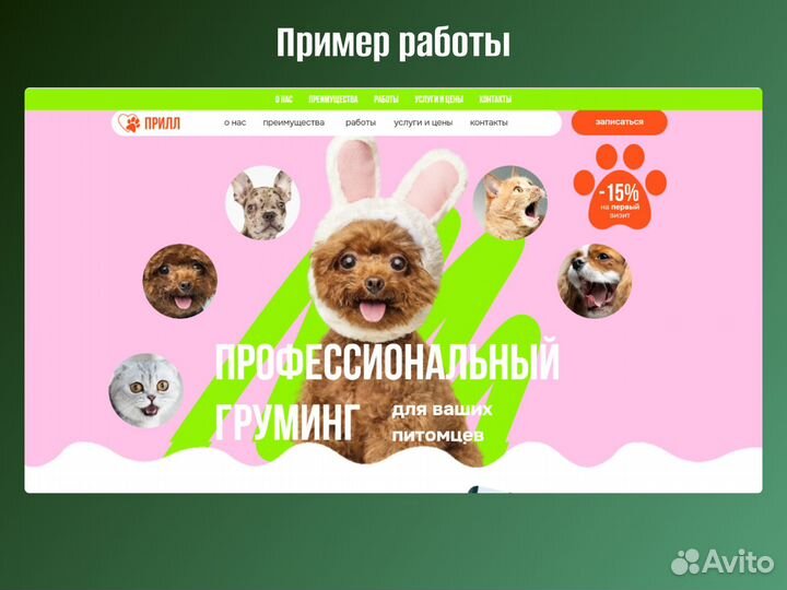 Создание сайтов от ппрофессиональной студии