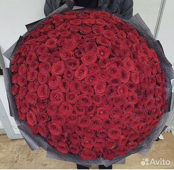 101 роза импортная