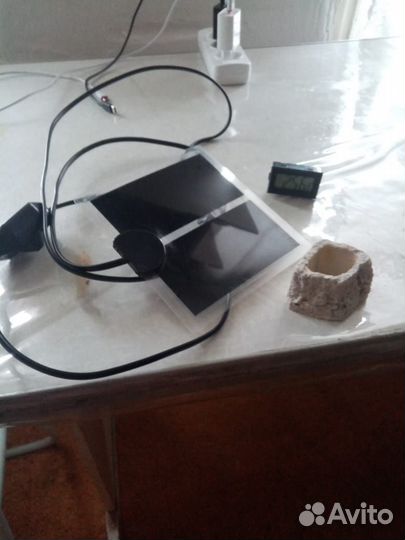 Террариум для рептилий