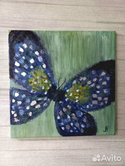 Бабочка Преображение