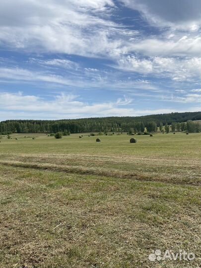 Сено в рулонах