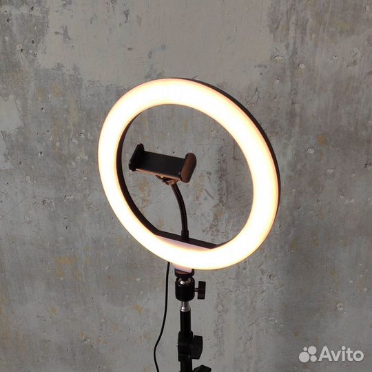 Кольцевая LED лампа 26 см (10