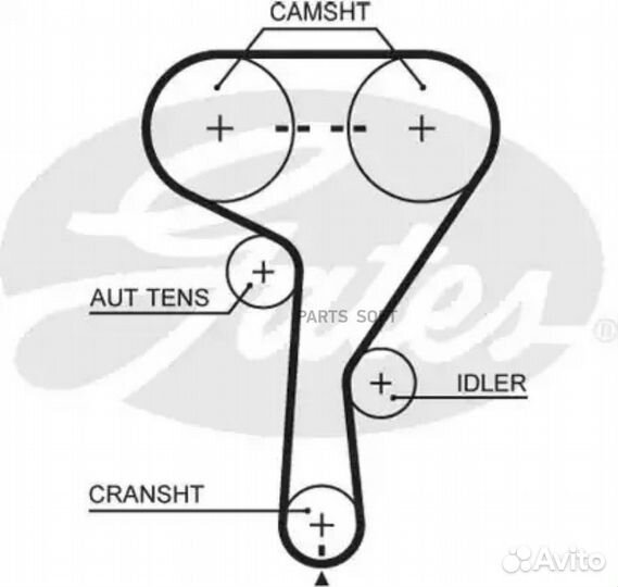 Ремень грм opel astra H,vectra C,zafira,meriva 1.6-1.8L 2004 146з. 5603XS