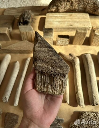 Дрифтвуд набор