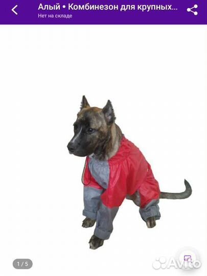 Комбинезон для крупных собак. Алый