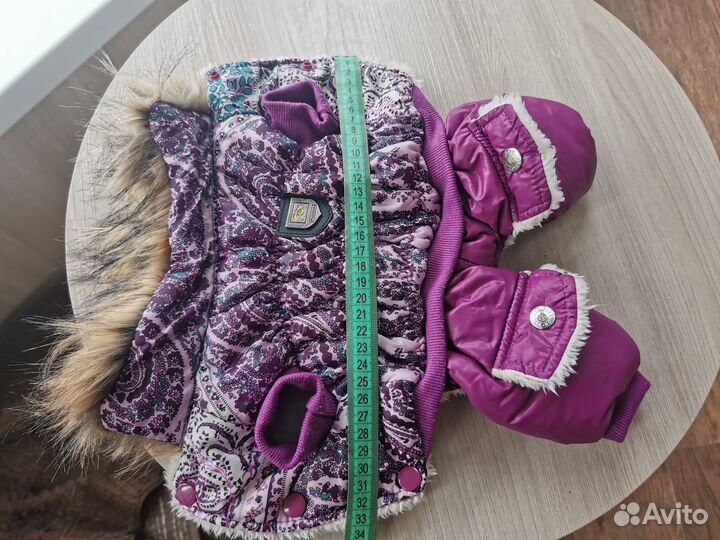 Одежда для собак мелких пород