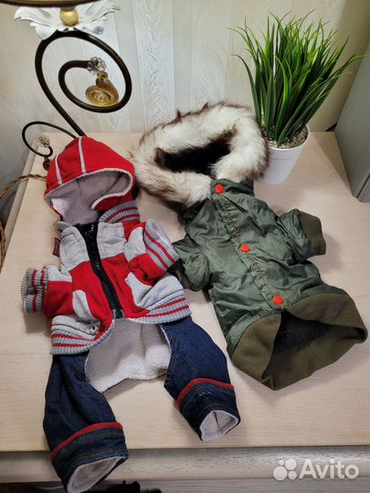 Одежда для маленьких собак