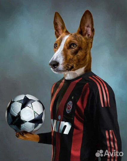 Портрет питомца / кота / собаки / животного