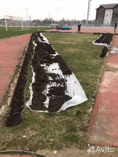 Полив газон Славянск-на-Кубани