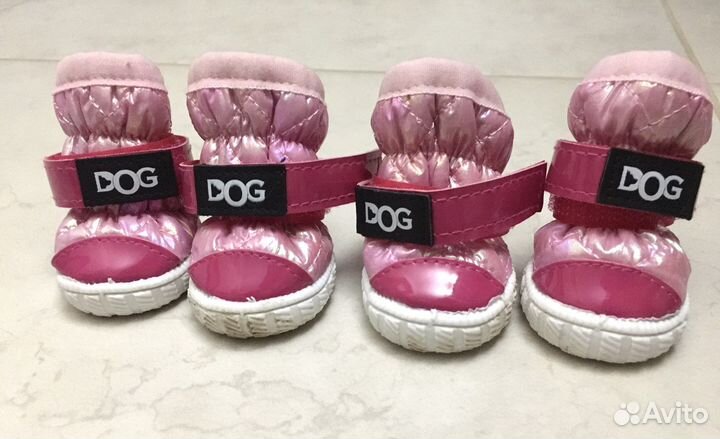 Сапожки для собак