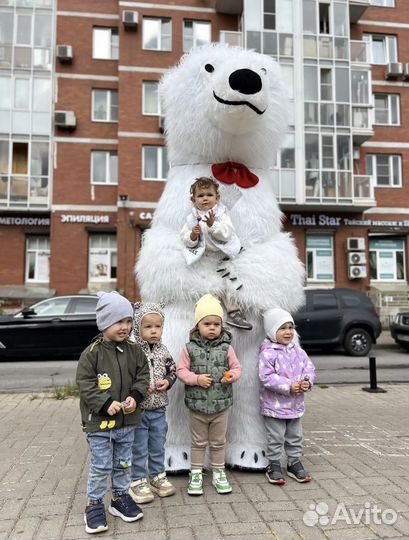 Экспресс поздравление Мишка Умка