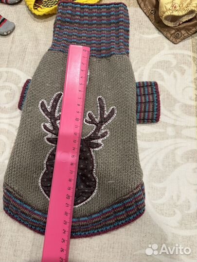 Одежда для собачки мелкой породы