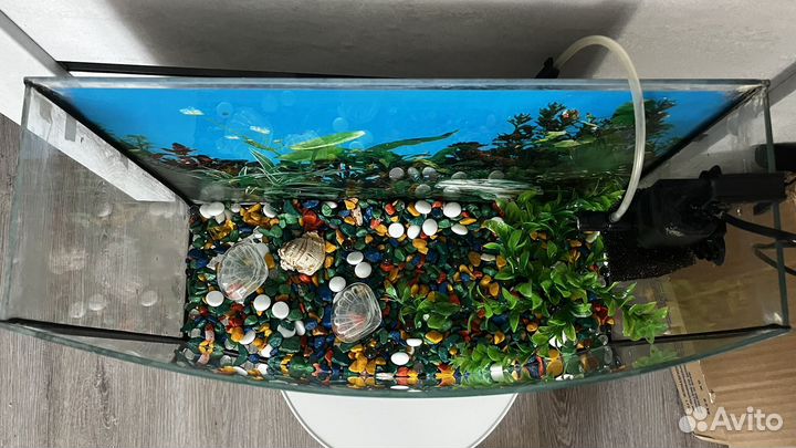 Аквариум 25л