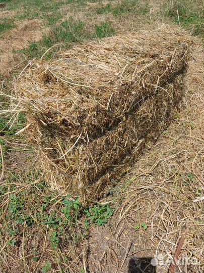 Сено в тюках