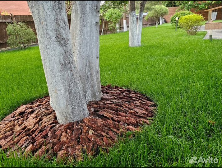 Газон рулонный от производителя спортивный