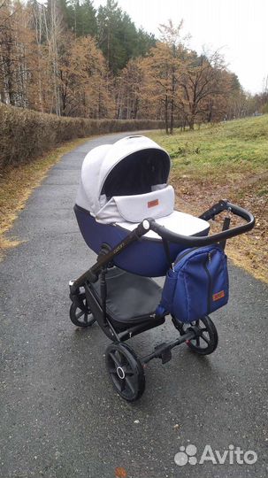 Коляска Riko Basic Ozon 2в1