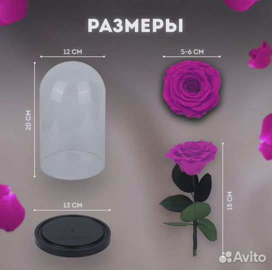 Вечная роза в колбе розовая