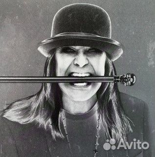 Виниловая пластинка Sony ozzy osbourne, ordinary M