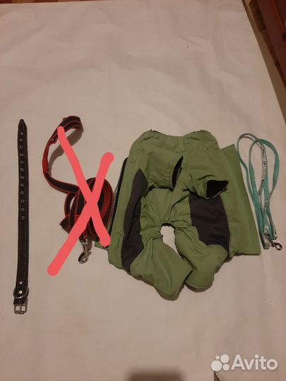 Поводок и одежда для собаки