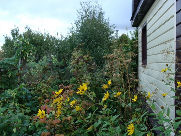 Участок 8,3 сот. (СНТ, ДНП)