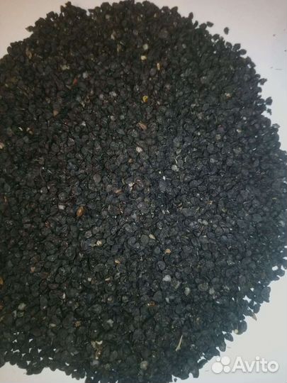 Лук севок сорт Погарский, чернушка сорт Погарский