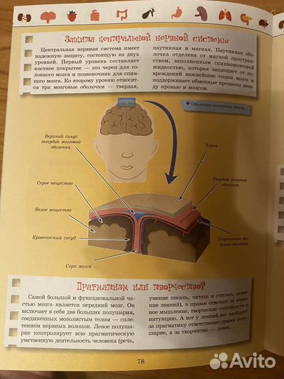 Большая энциклопедия 