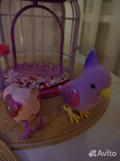 Little live pets птички