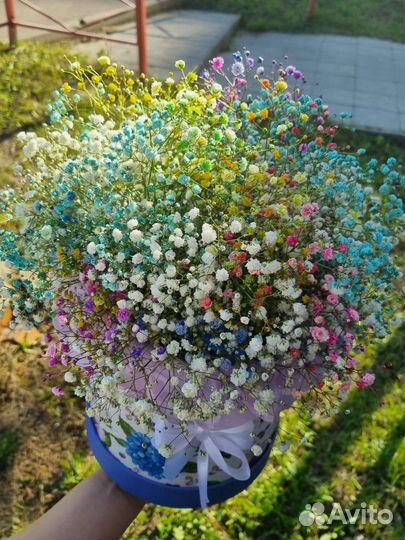 Букеты из гипсофилы