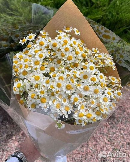 Ромашки Пионы Розы Доставка