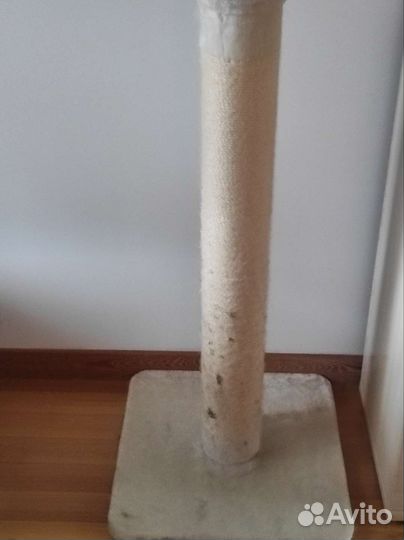 Когтеточка