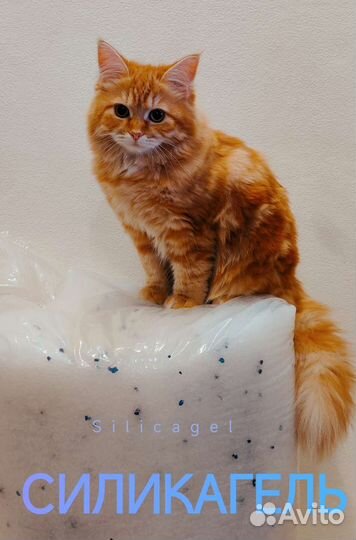 Силикагелевый наполнитель для кошачьего туалета