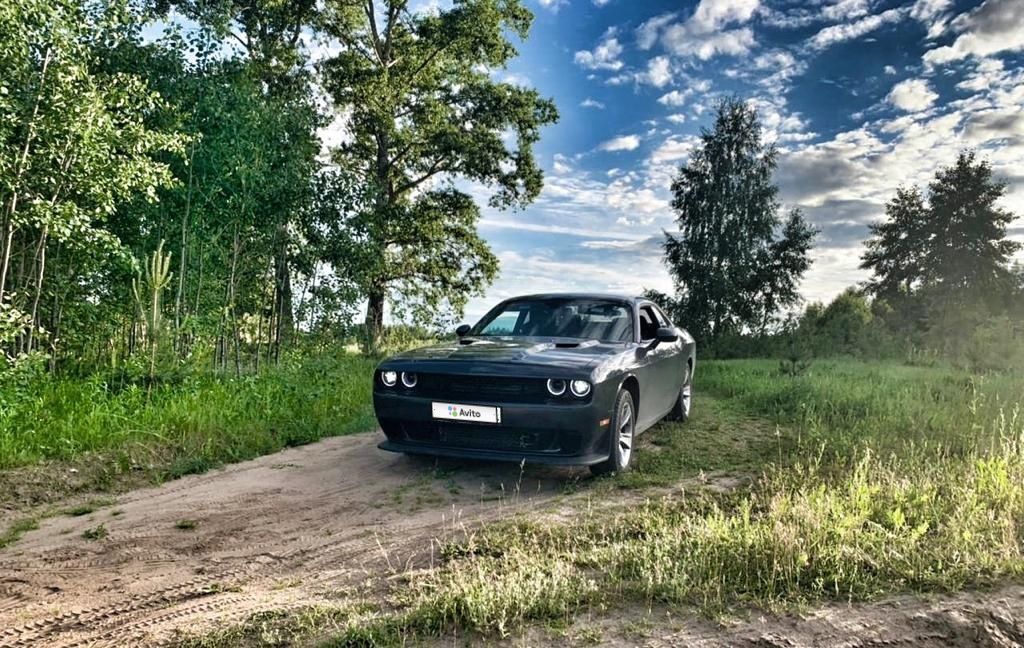 Dodge Challenger: фото владельца